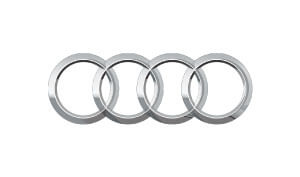 Fish Sounds Brutally Buttery Voice Overs Audi Logo